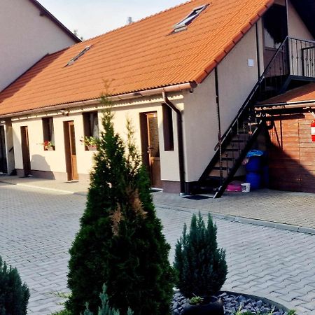 Farkaslaki Panorama Vendeghaz Hotel Lupeni  Eksteriør billede